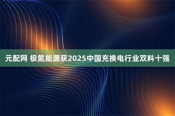 元配网 极氪能源获2025中国充换电行业双料十强