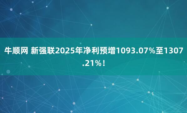 牛顺网 新强联2025年净利预增1093.07%至1307.21%！