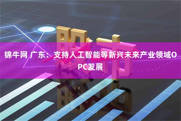 锦牛网 广东：支持人工智能等新兴未来产业领域OPC发展