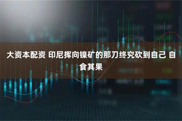 大资本配资 印尼挥向镍矿的那刀终究砍到自己 自食其果