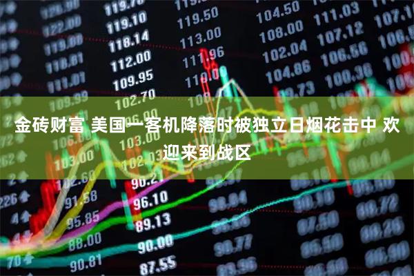 金砖财富 美国一客机降落时被独立日烟花击中 欢迎来到战区