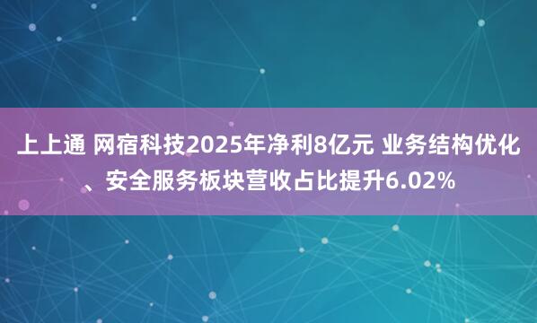 上上通 网宿科技2025年净利8亿元 业务结构优化、安全服务板块营收占比提升6.02%